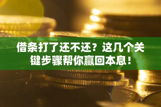 北京借条打了还不还？这几个关键步骤帮你赢回本息！
