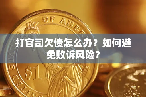 北京打官司欠债怎么办？如何避免败诉风险？