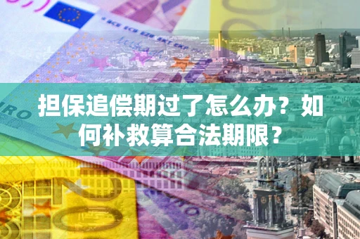 北京担保追偿期过了怎么办？如何补救算合法期限？