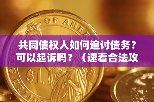 北京共同债权人如何追讨债务？可以起诉吗？（速看合法攻略）