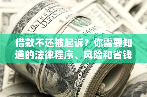 北京借款不还被起诉？你需要知道的法律程序、风险和省钱技巧